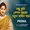 About Bondhu Kemon Acho Notun Sathir Ghore Song