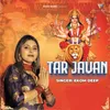 About Tar Javan Song