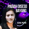 About Padiah Diseso bayang Song