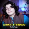 About Janana Ta Ye Bewafa Song