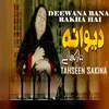 About Deewana Bana Rakha Hai Song