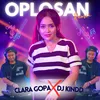 About Oplosan Remix Song