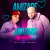 About Amizade Colorida Song