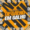 About De Galho Em Galho Song