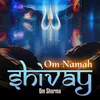 About Om Namah Shivay Song