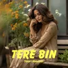 About Tere Bin Song