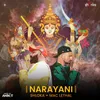 About Narayani Song