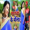 About Sarawan Ke Mela Song