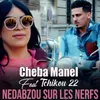 About Nedabzou Sur Les Nerfs Song