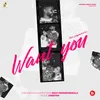 About Want You Song