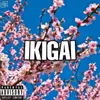 About Ikigai Song