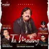 About Tu Malang Song