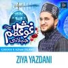 About Ghous e Azam Jilani Song