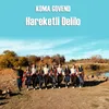 About Hareketli Delilo Song