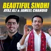 About Beautiful Sindhi Song