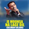 About Je Moonsa Na Lage Dil Song