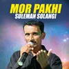 About Mor Pakhi Song