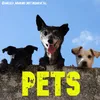 About Pets Song