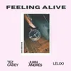 About Feeling Alive Song