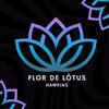 Flor de Lótus