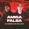 About Amiga Falsa Song
