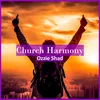 About Church Harmony Song