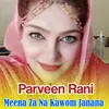 About Meena Za Na Kawom Janana Song