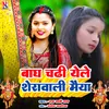 About Bagh Chadhi Yele Sheravali Maiya Song
