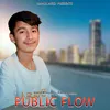 About Public Flow Song