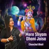 About Mere Shyam Dhani Jaisa Song