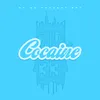 About Cocaine Song