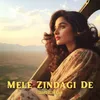 About Mele Zindagi De Song