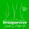 About Desaparecer Song