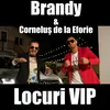 About Locuri Vip Song