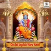 About Om Jai Jagdish Hare Aarti (Vishnu Ji Ki Aarti) Song