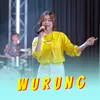 About Wurung Song