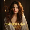 About Yaar Bhul Gaya Song