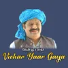 About Vichar Yaar Gaya Song
