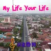 About My Life Your Life Song