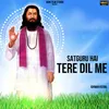 About SATGURU HAI TERE DIL ME Song