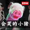 About 会笑的小猪 Song