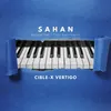 About SAHAN Song