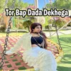 Tor Bap Dada Dekhega