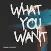 WHAT YOU WANT