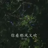 你看那风又吹