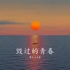 About 毁过的青春 Song