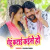 About Genhu Katai Kaise Ho Song