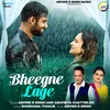 About Bheegne Lage Song