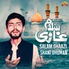 About Salam Ghaazi Song