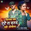 About Dilwa Jab Tute Ta Darad Badi Hokhela Song